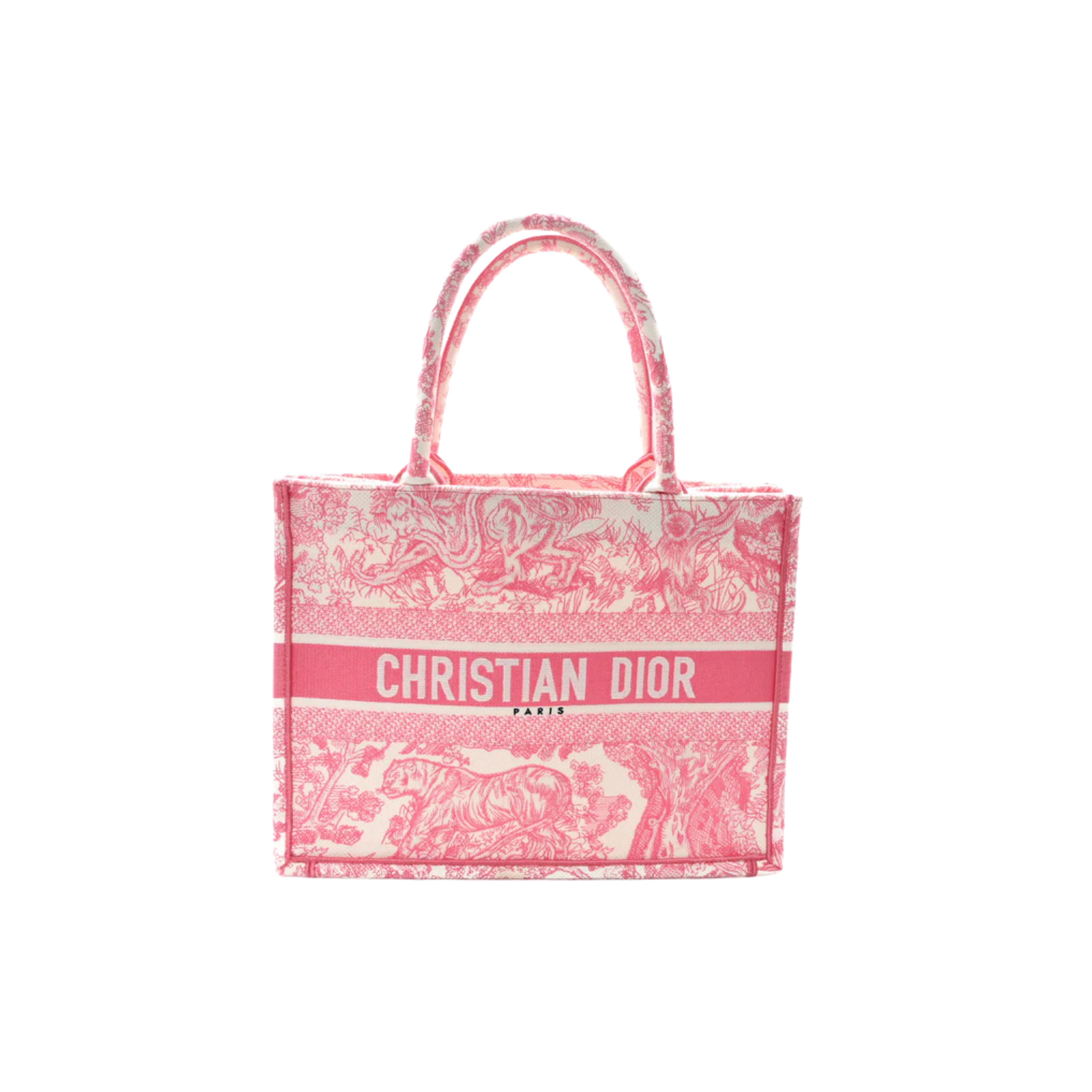 Dior Bag | Canvas Embroidered Tote Pink Bag