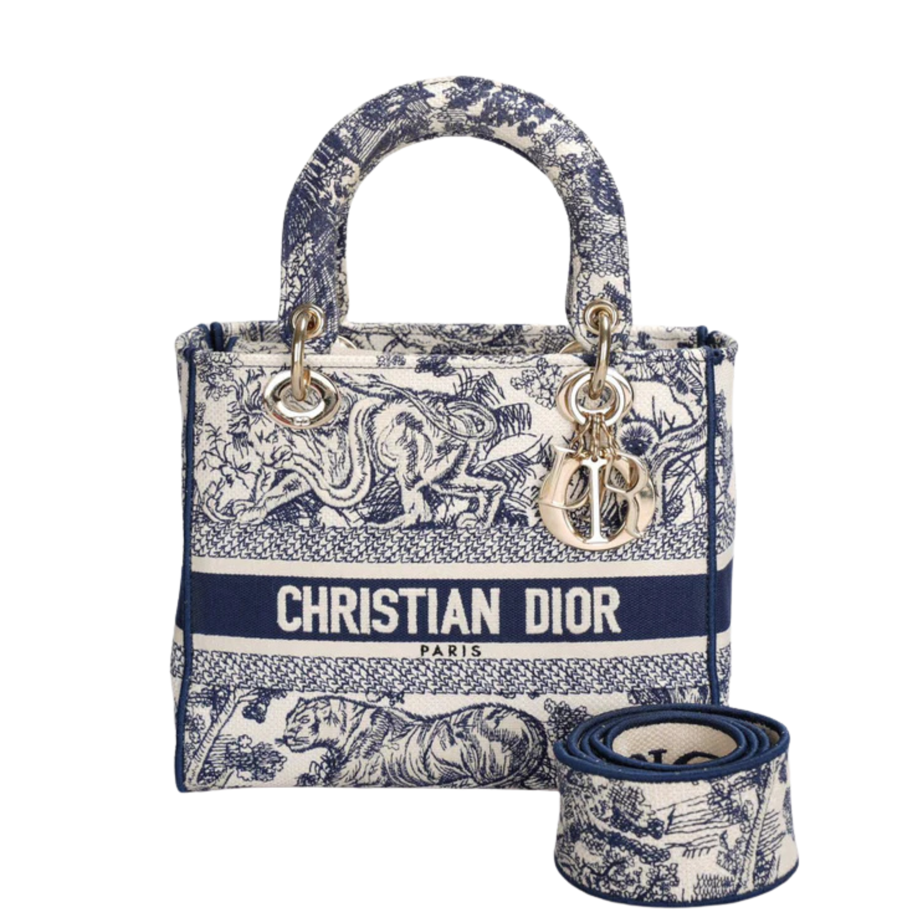 Dior Bag | Medium Lady D-Lite bag