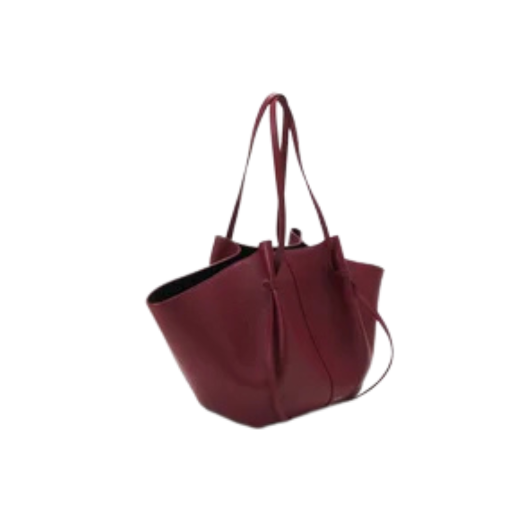 Polène Bag | Cyme Mini Bag Burgundy Ebony