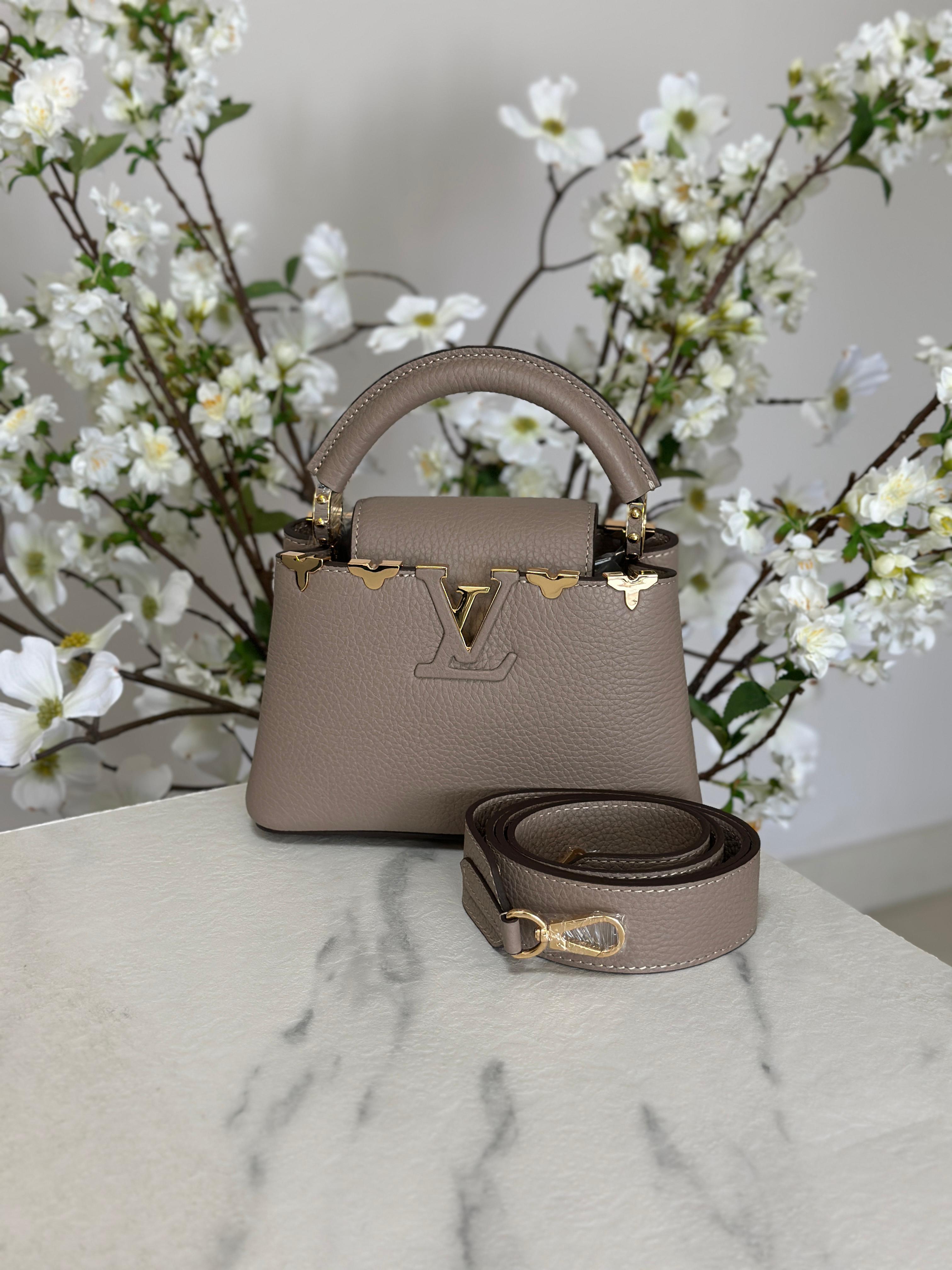 Louis Vuitton Bag | Ćapucines Gray