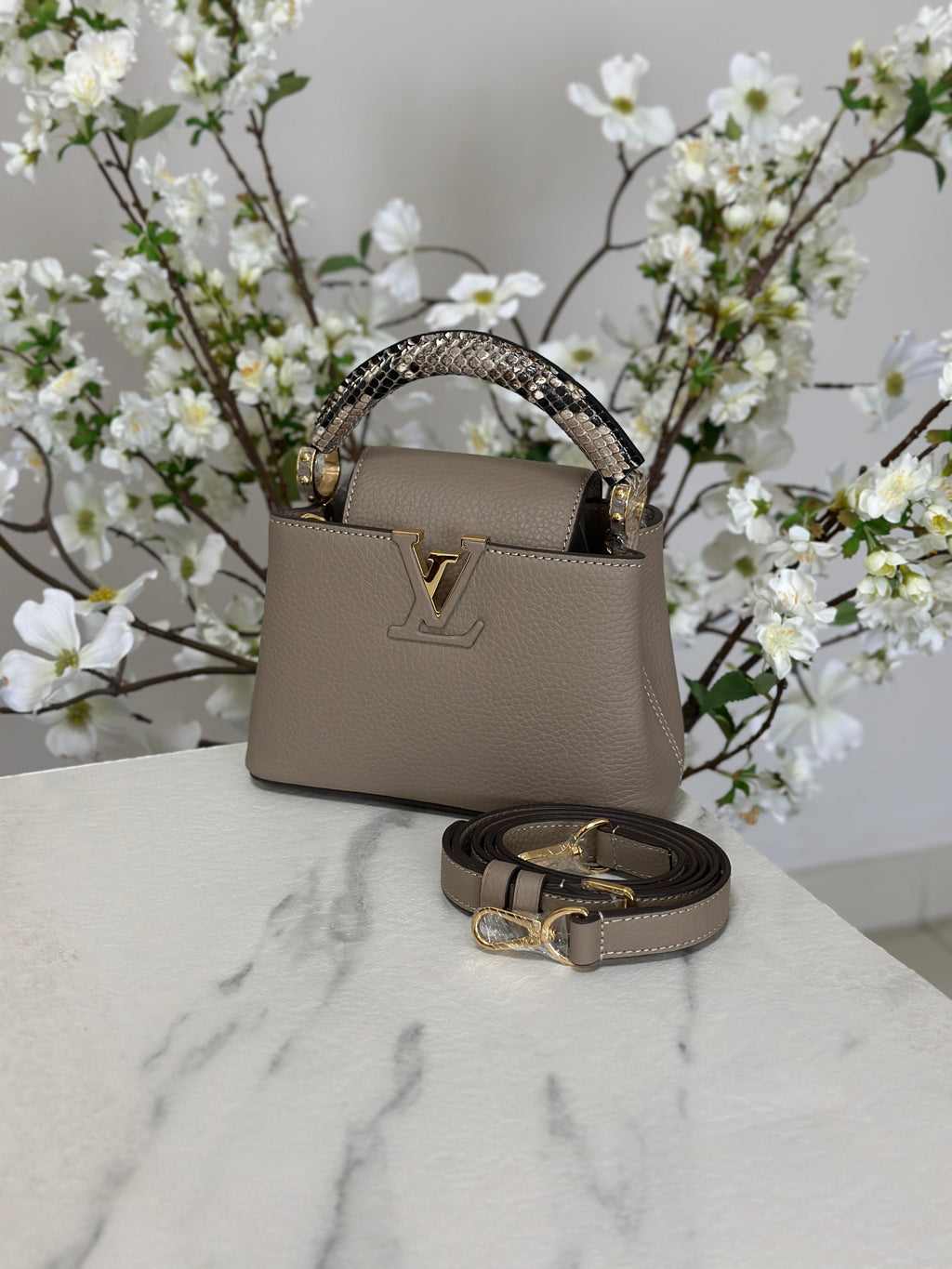 Louis Vuitton Bag | Ćapucines Gray Python