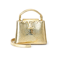 Louis Vuitton Bag | Ćapucines Taurillon Silver