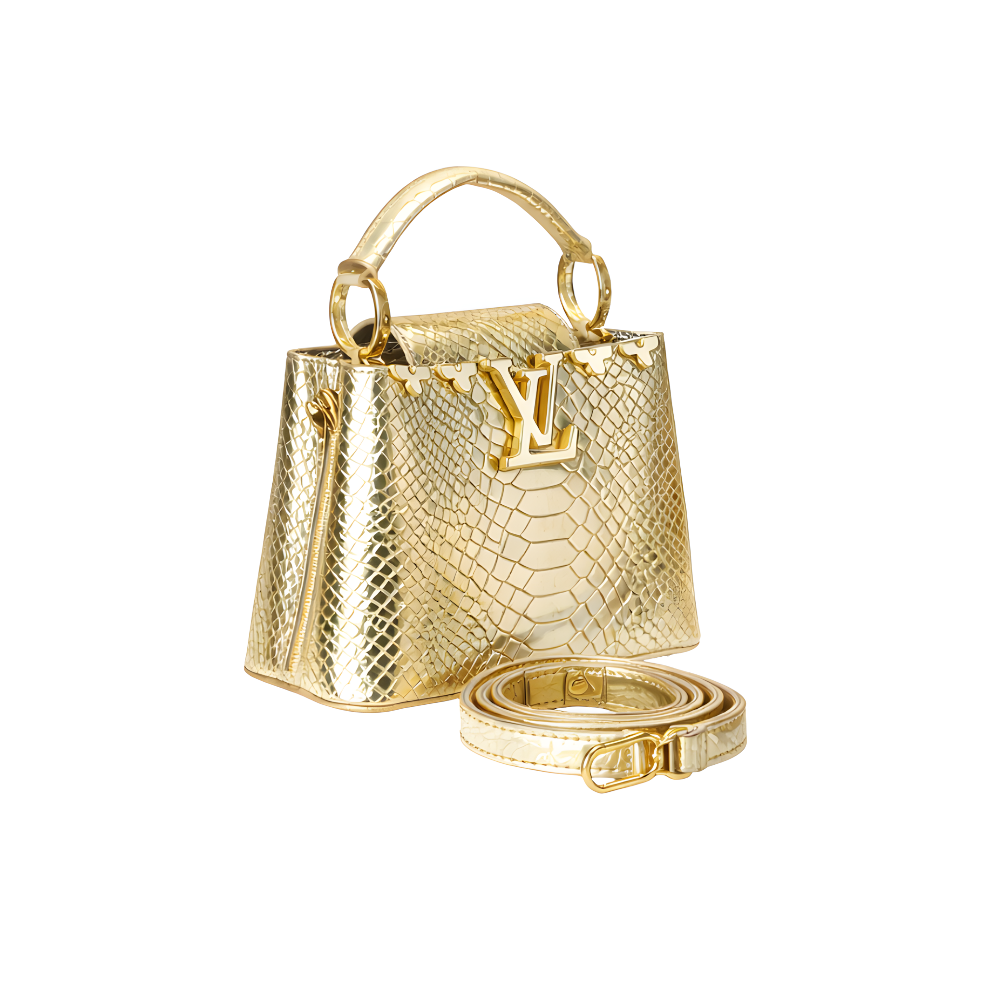 Louis Vuitton Bag | Ćapucines Taurillon Silver