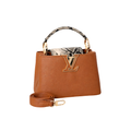 Louis Vuitton Bag | Ćapucines Taurillon Brown