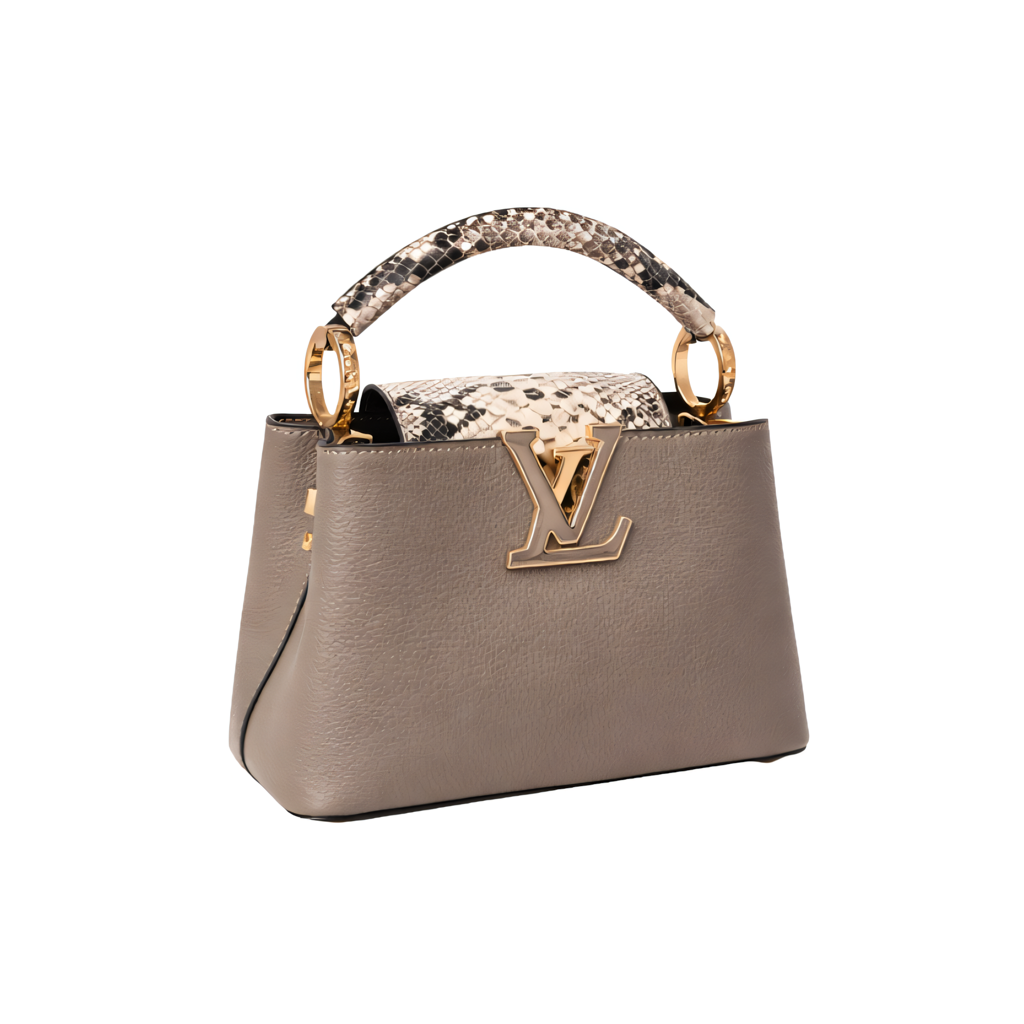 Louis Vuitton Bag | Ćapucines Gray Python