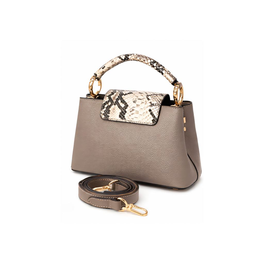 Louis Vuitton Bag | Ćapucines Gray Python