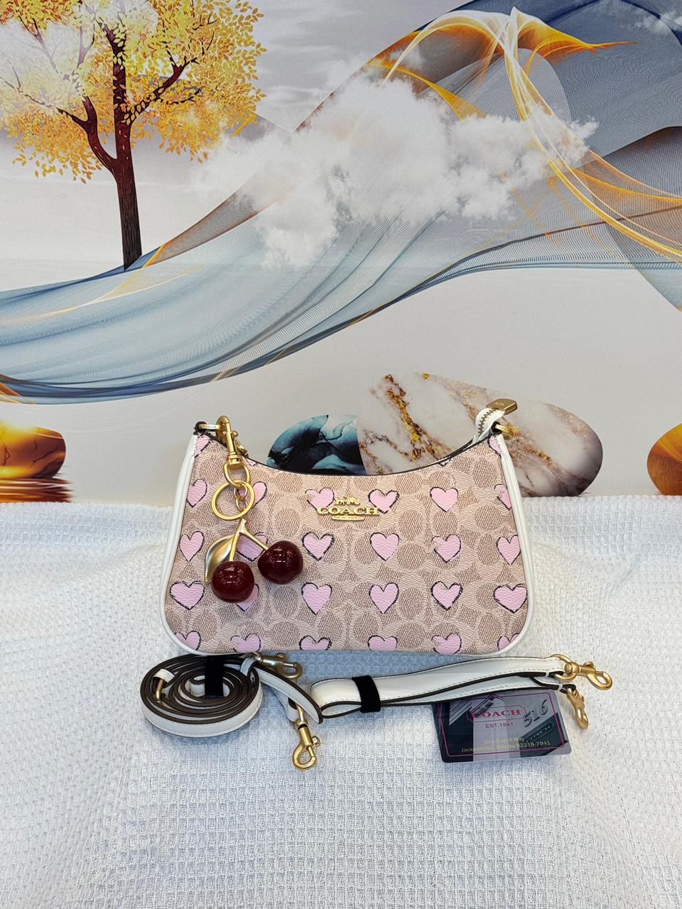 Coach Bag | Teri Shoulder Signature Canvas