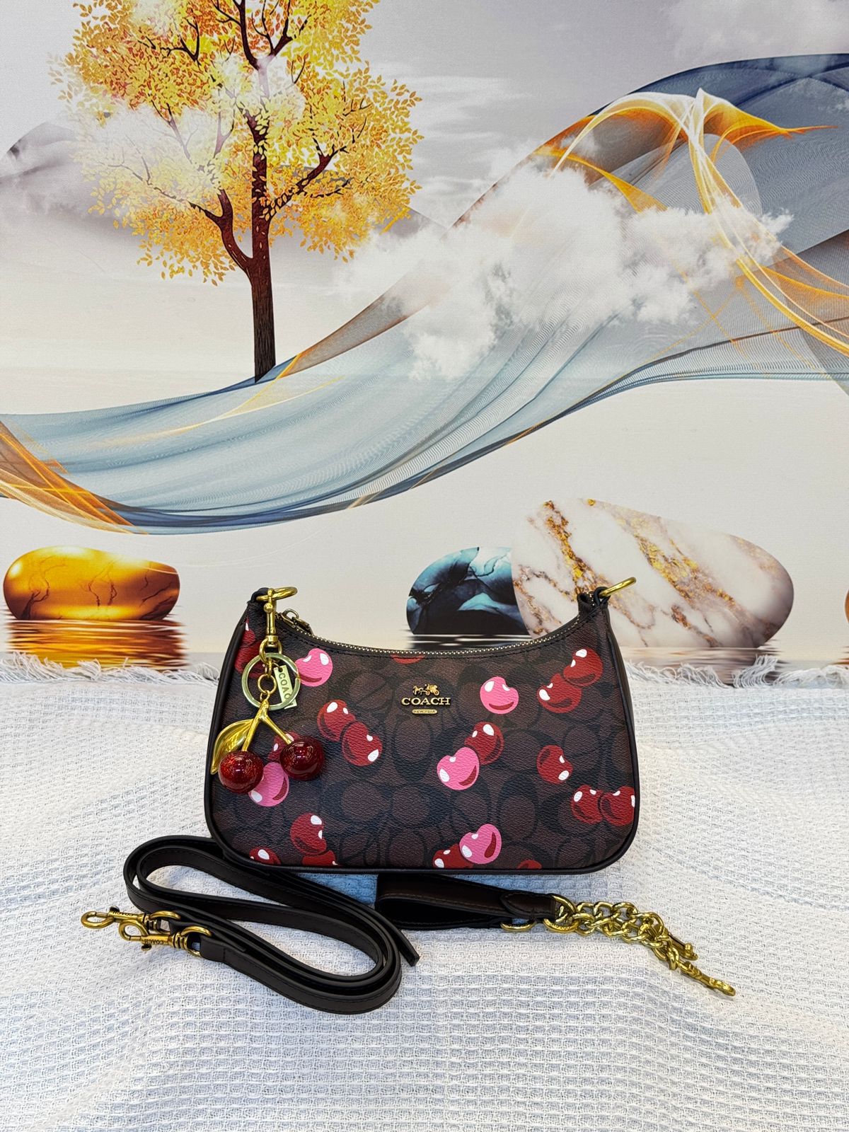 Coach Bag | Teri Shoulder Signature Canvas