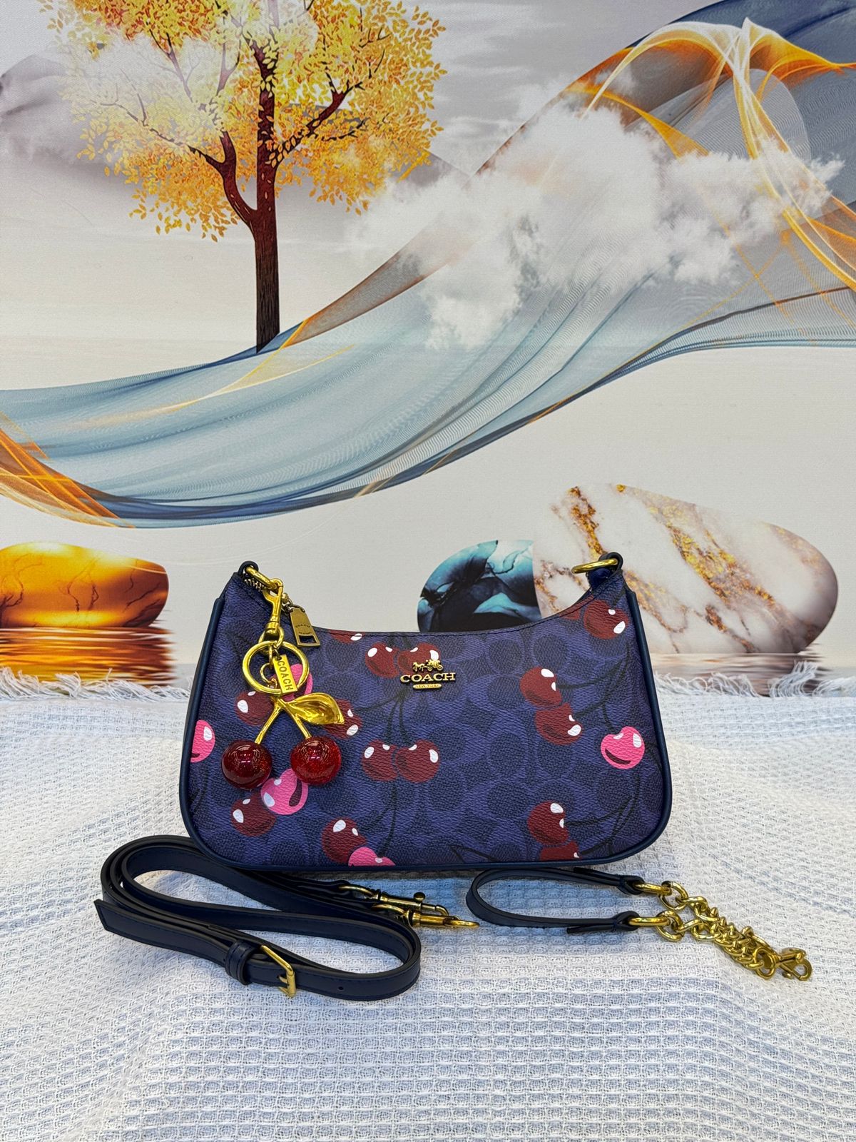 Coach Bag | Teri Shoulder Signature Canvas
