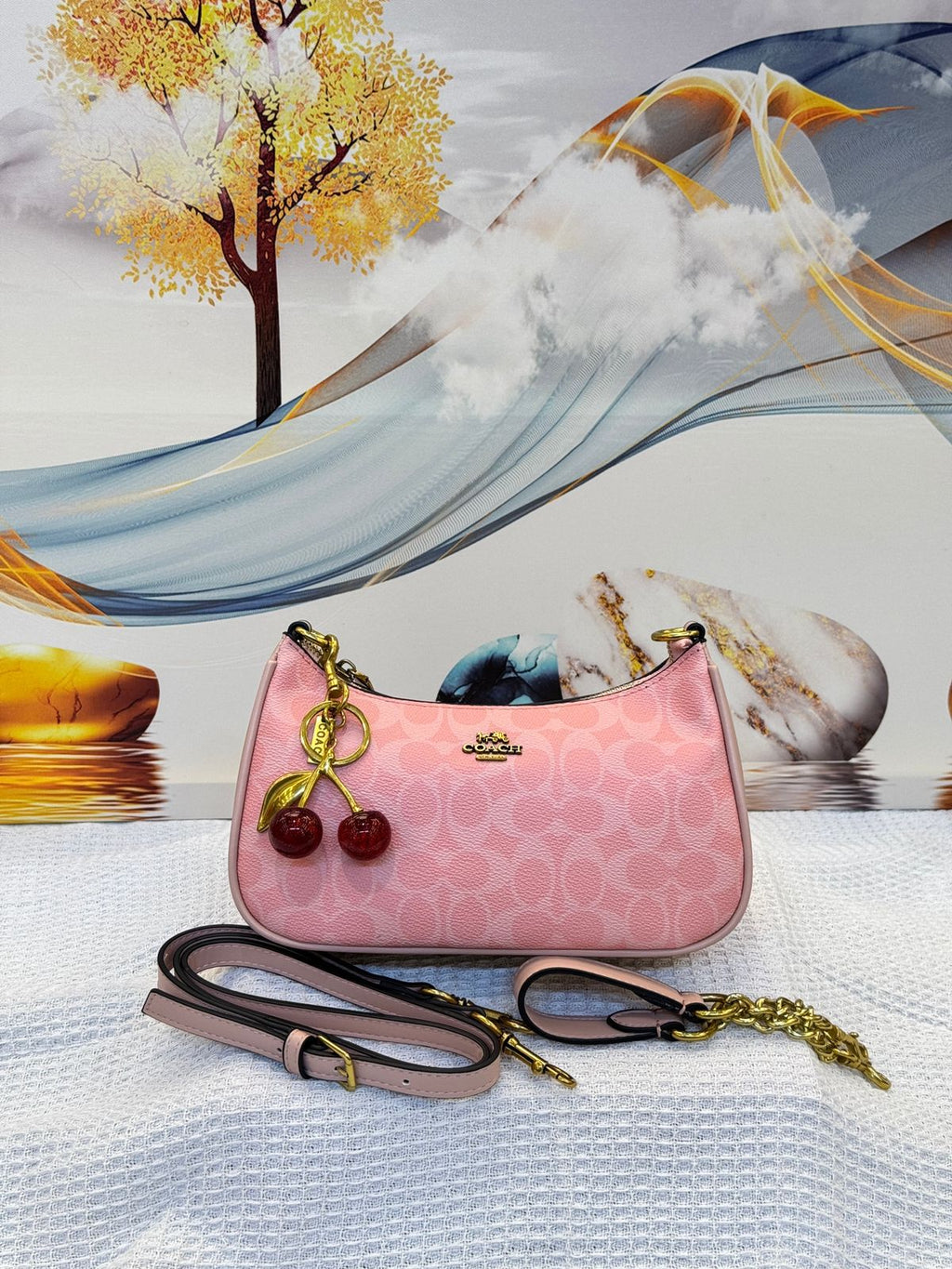 Coach Bag | Teri Shoulder Signature Canvas