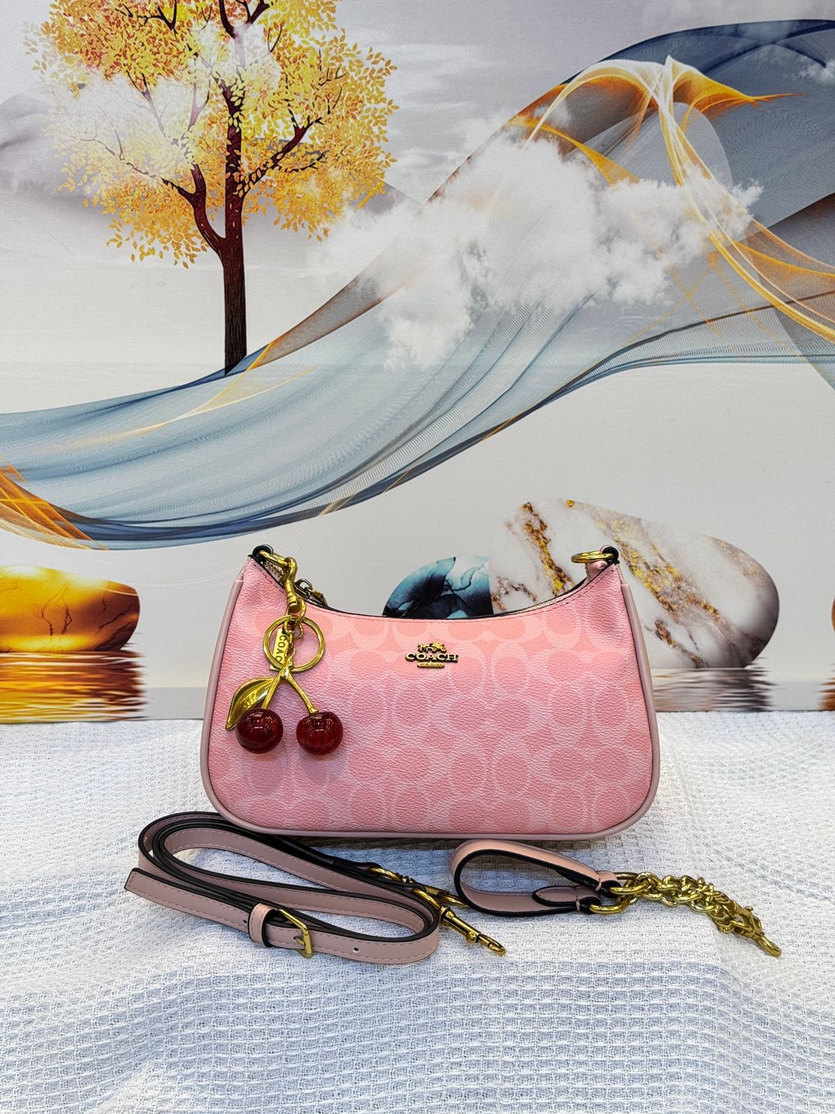 Coach Bag | Teri Shoulder Signature Canvas