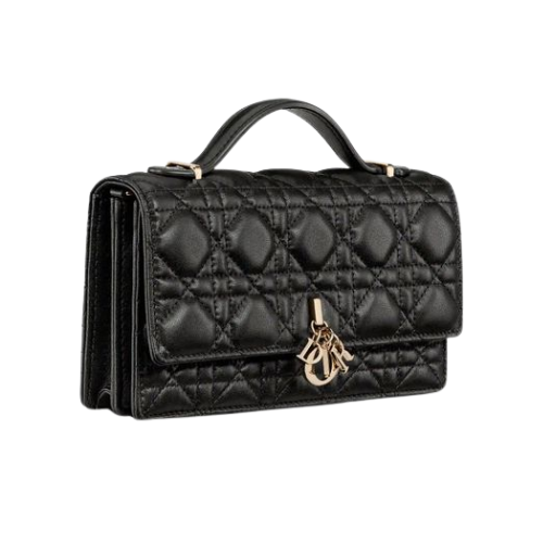 Dior Bag | My Top Handle Bag