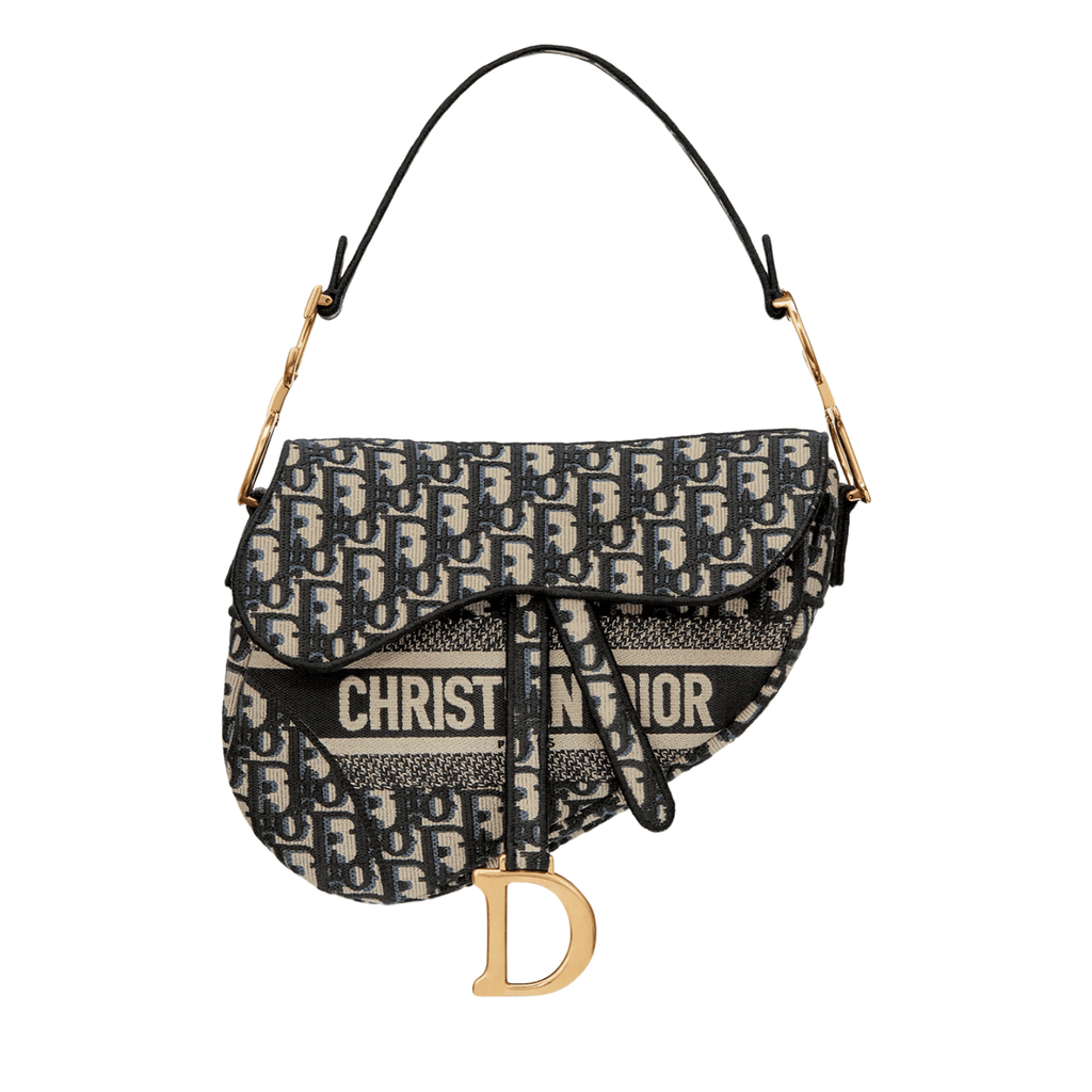 Dior Bag| Saddle Bag