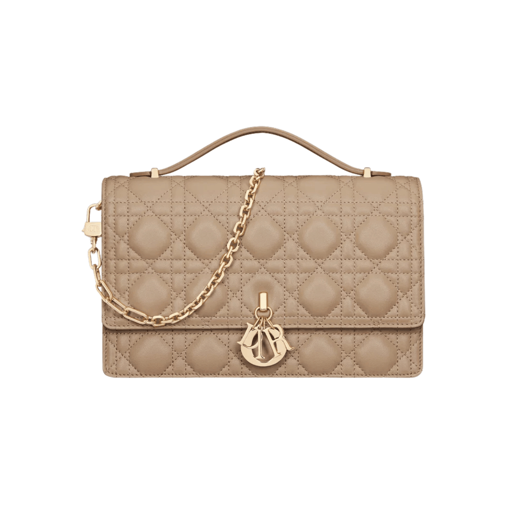 Dior Bag | My Top Handle Bag