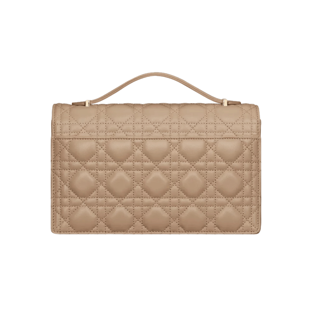 Dior Bag | My Top Handle Bag