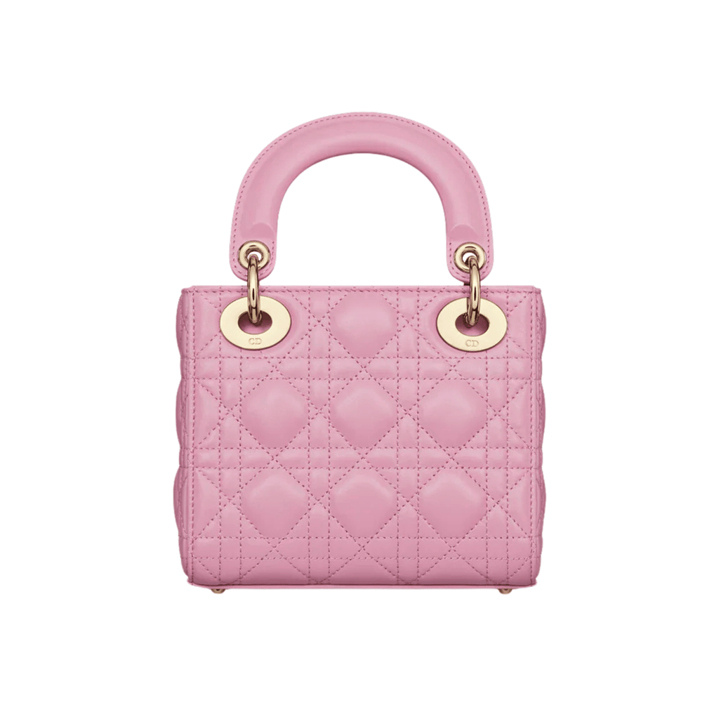 Dior Bag | My ABC Dior Pink