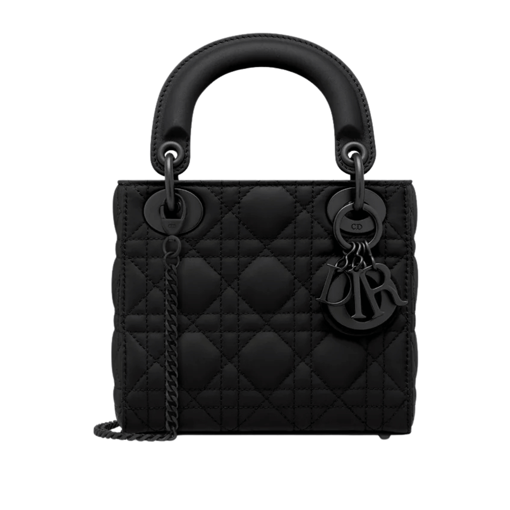 Dior Bag | Mini Lady Bag