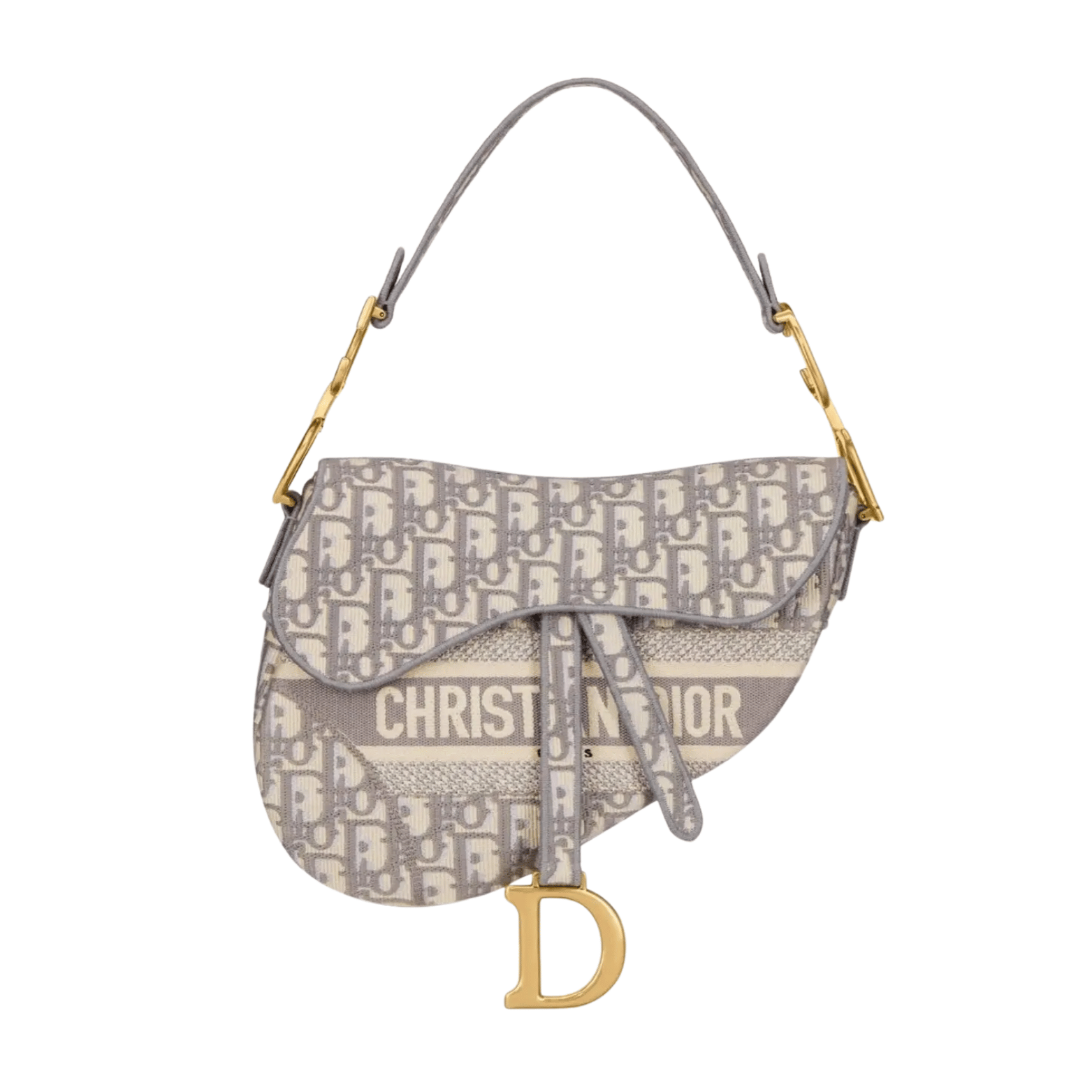 Dior Bag | Saddle Bag