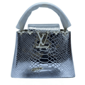 Louis Vuitton Bag | Ćapucines Metallic Silver
