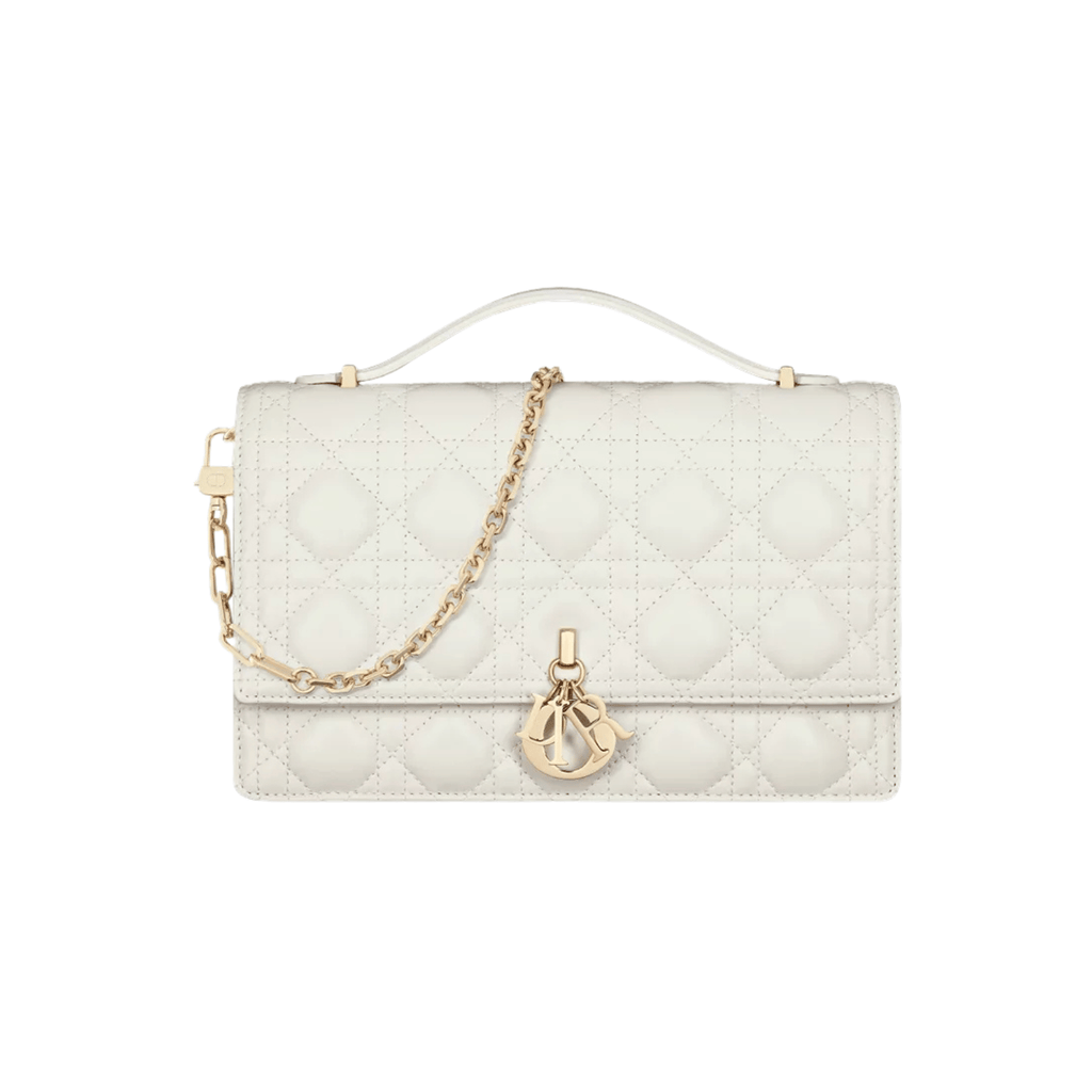 Dior Bag | My Top Handle Bag
