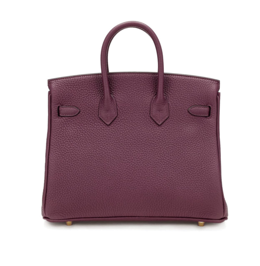 Hermès Bag | Birkin Bag Violet Togo