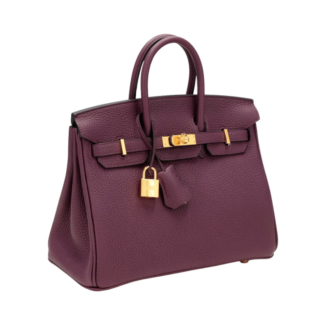 Hermès Bag | Birkin Bag Violet Togo