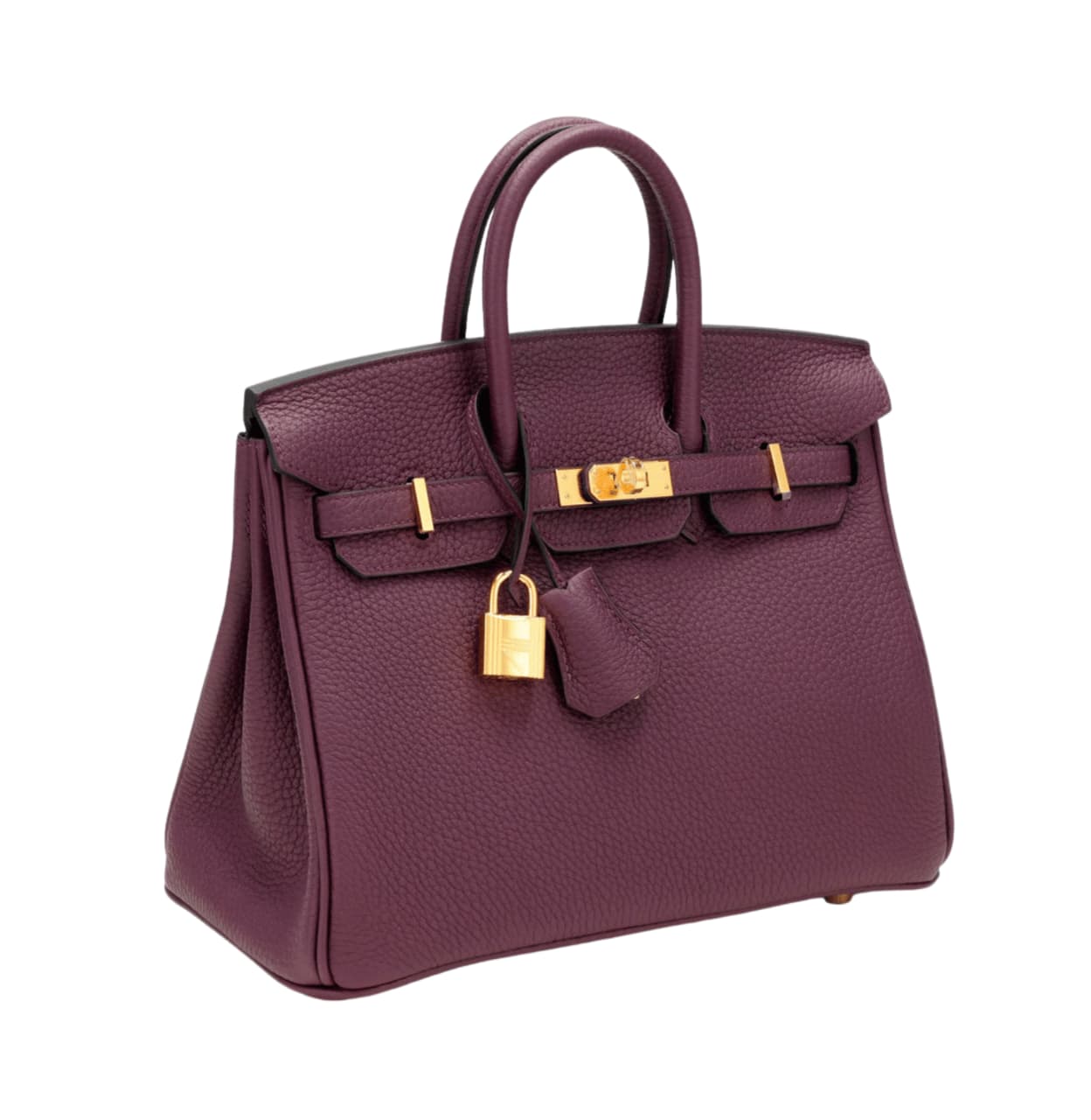 Hermès Bag | Birkin Bag Violet Togo