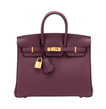 Hermès Bag | Birkin Bag Violet Togo
