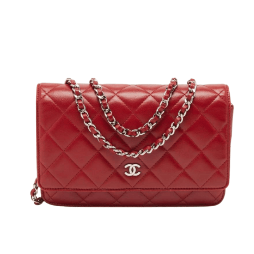 Chanel Bag | Chain Crossbody Bag