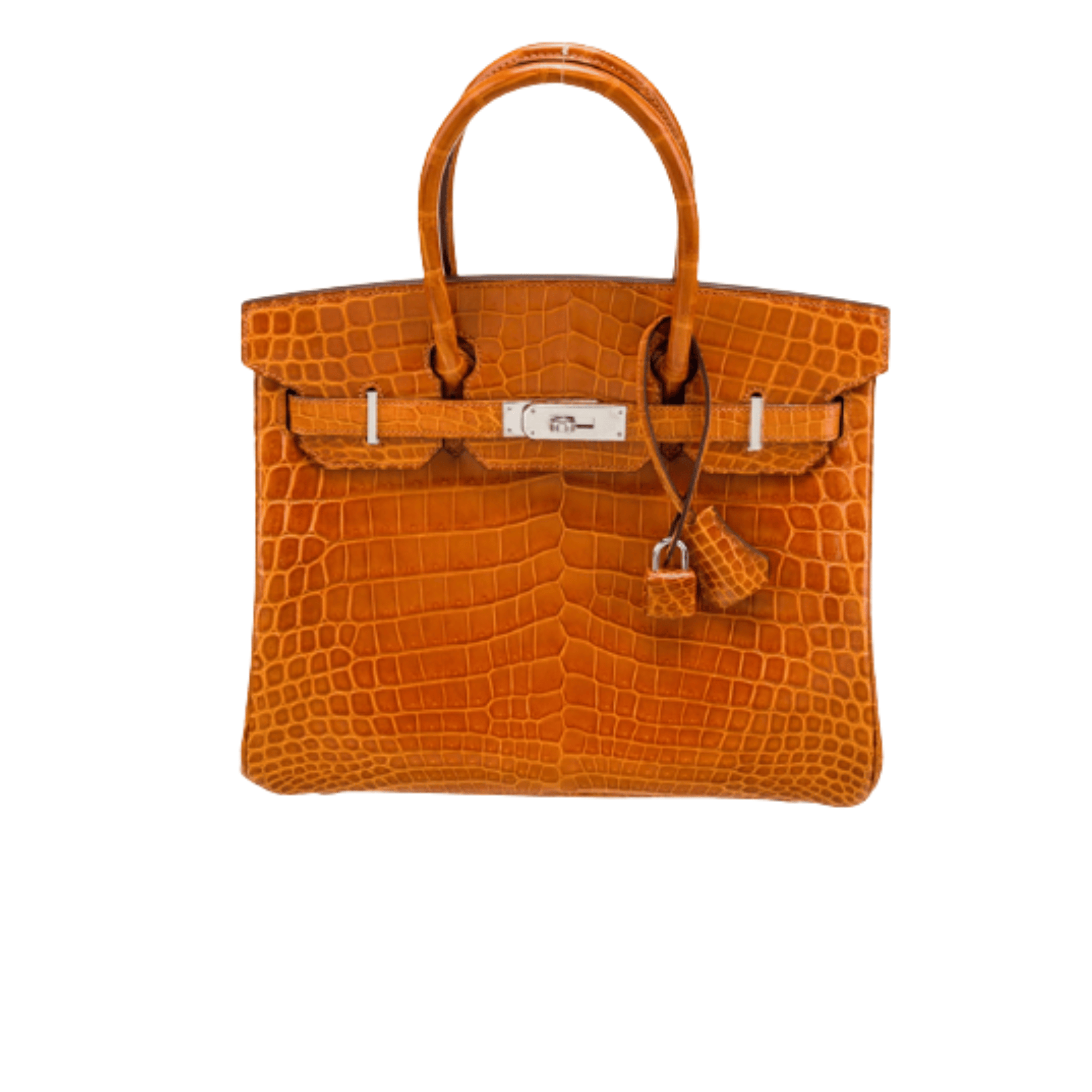 Hermès Bag | Birkin Bag