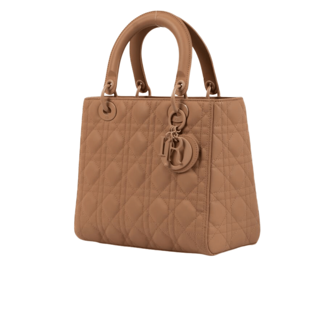 Dior Bag | My ABC Dior Snad