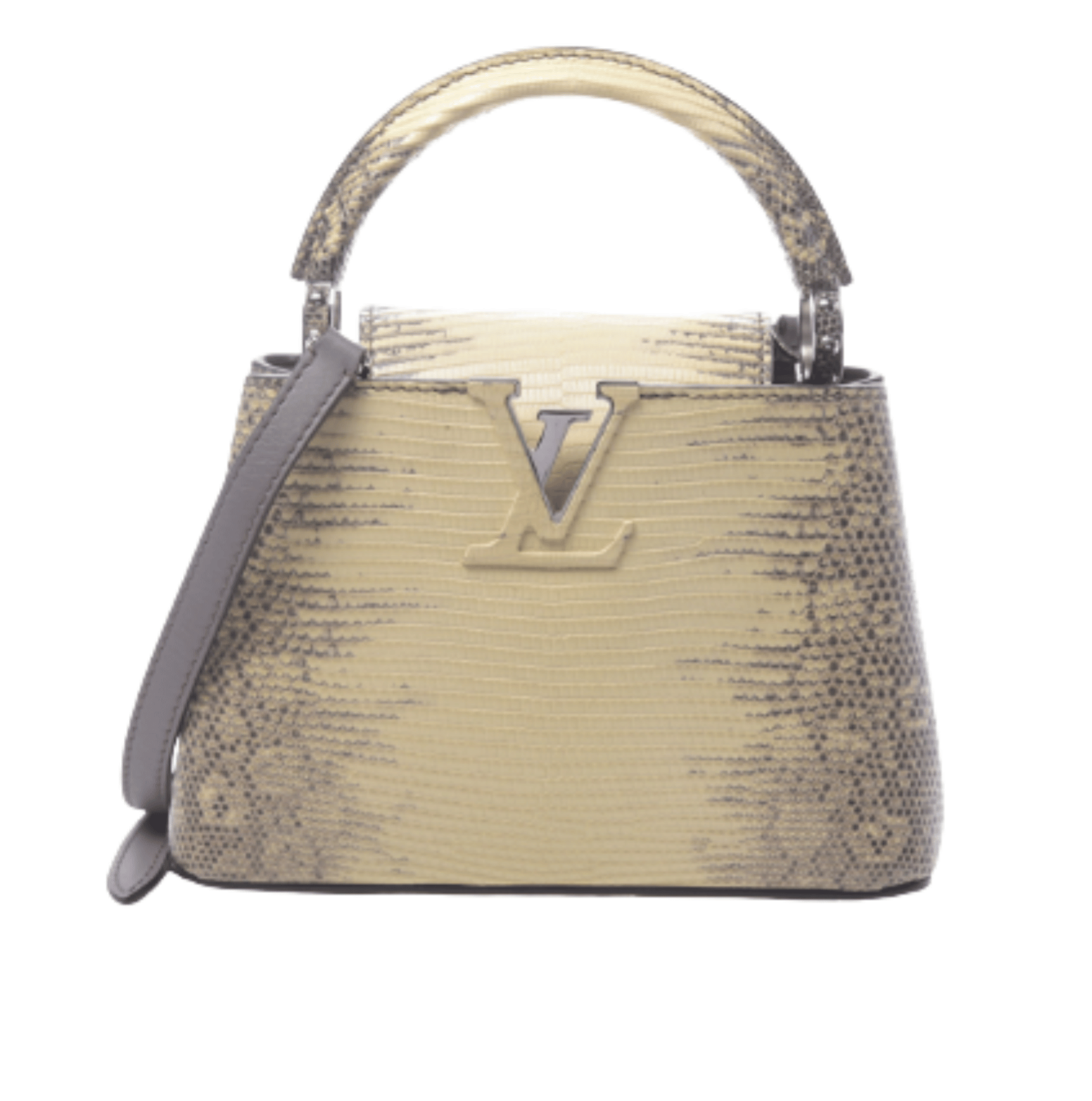 Louis Vuitton Bag | Ćapucines Lizard Leather