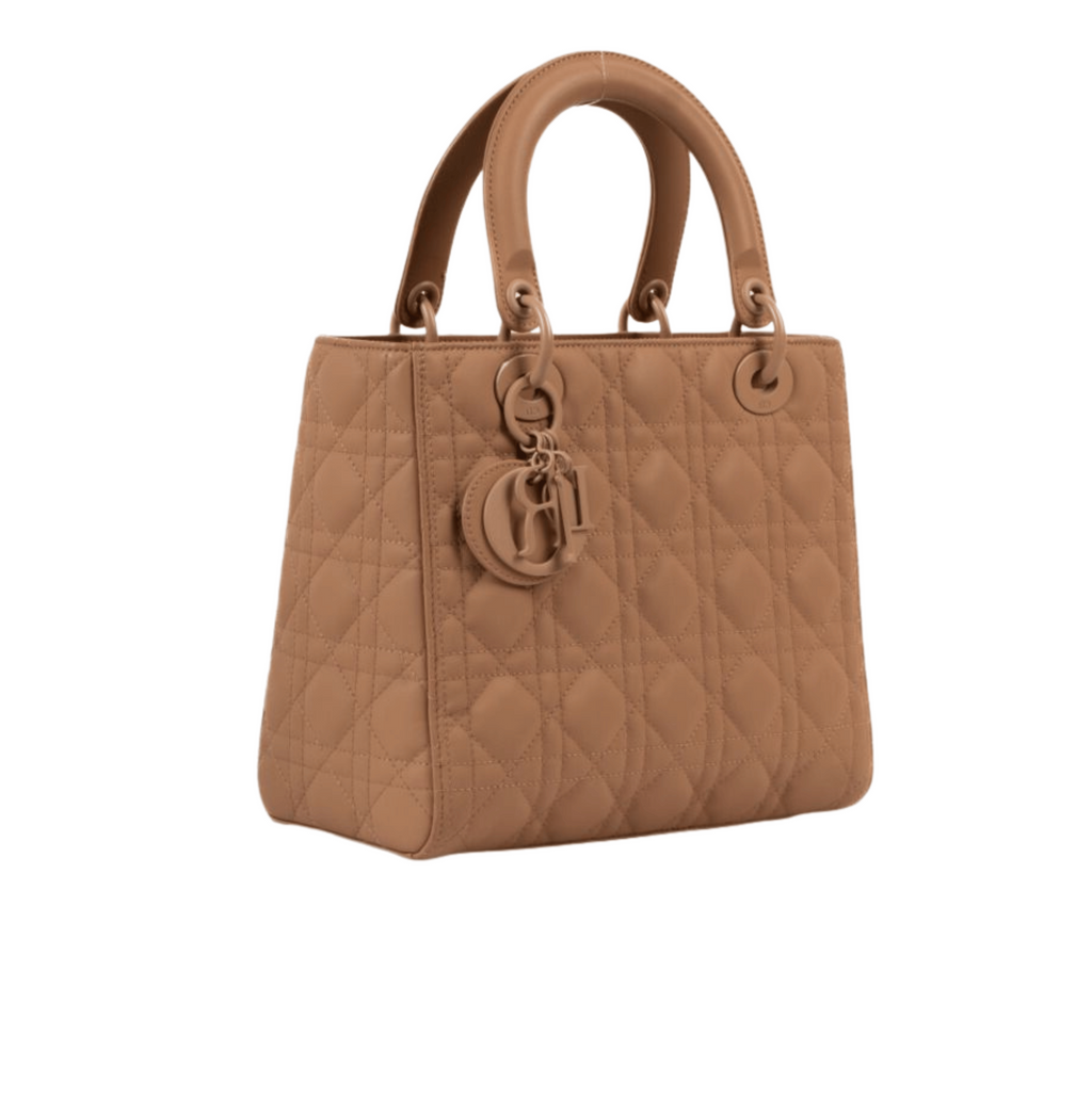 Dior Bag | My ABC Dior Snad