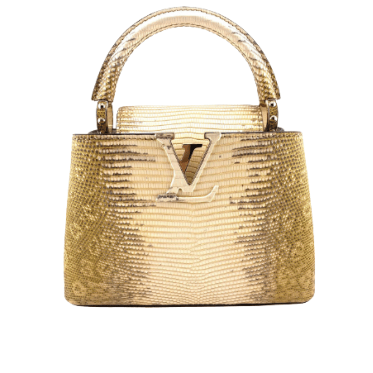 Louis Vuitton Bag | Ćapucines Gold Snake Skin